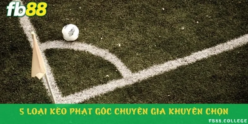 Nhà cái cung cấp đa dạng các loại kèo phạt góc