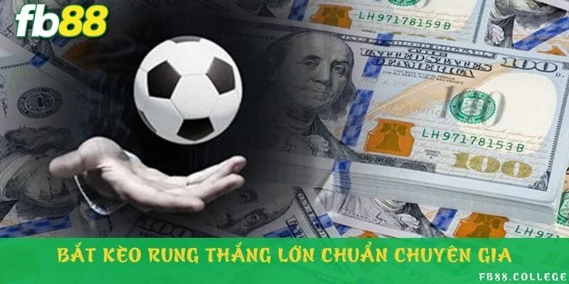 Tất tần tật về mẹo đặt cược kèo rung bất bại