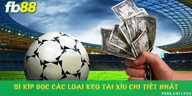 Chia sẻ cách đọc kèo bóng đá chỉ trong 3 phút