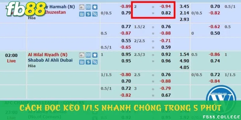 Hướng dẫn cách đọc kèo siêu nhanh cho newbie