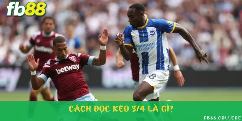 Tìm hiểu về ý nghĩa, cách đọc kèo chi tiết