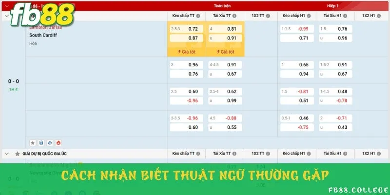 Lưu ý vài thuật ngữ thông dụng trong cá cược