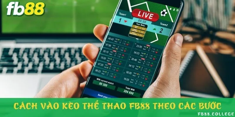 Các bước giúp tân thủ tự tin đặt cược