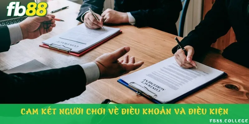Người chơi có nghĩa vụ tuân thủ nghiêm túc các điều khoản điều kiện