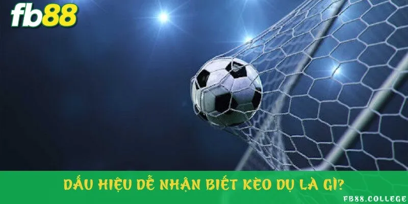 Cách nhận biết kèo dụ khá đơn giản và dễ hiểu