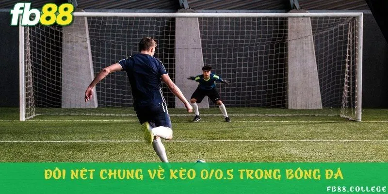 Bản chất, cách thức hoạt động và lợi ích của kèo 0/0.5