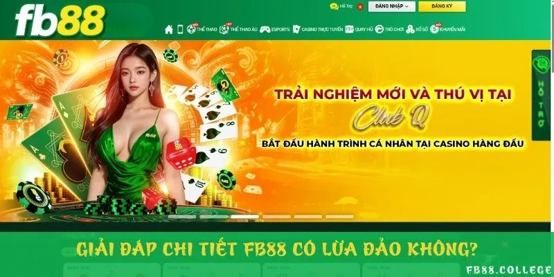 Nhà cái nói không với việc lừa đảo người dùng