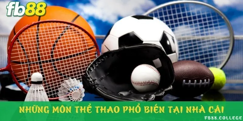 Top 4 môn được yêu thích nhất tại sảnh cá cược