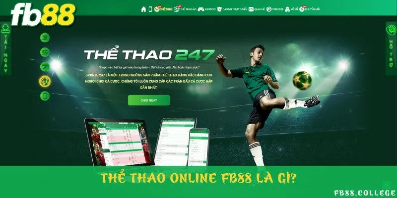 Giới thiệu hình thức đặt cược thể thao trực tuyến