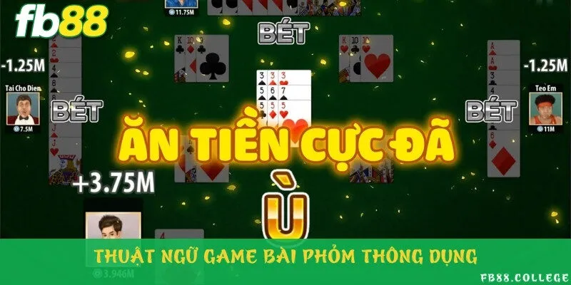 Thuật ngữ chơi phỏm ai cũng cần nắm vững