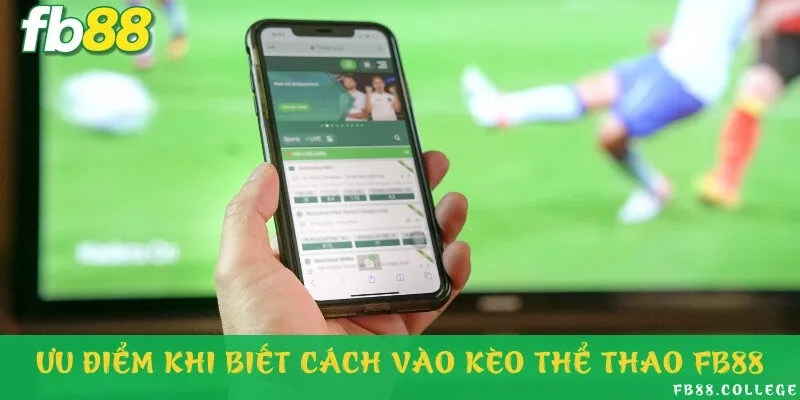 Lý do nên tham gia cược tại sảnh thể thao