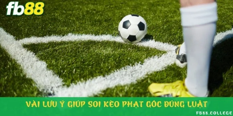 Một vài tips bắt kèo bất bại từ chuyên gia